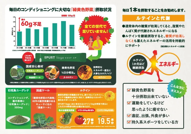 スパートベジ　パンフレット