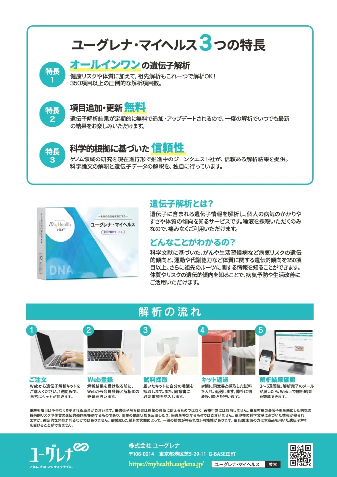 チラシ裏